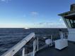 Estonian naval authorities have detained a tanker in the Baltic Sea (file pic). (EPA PHOTO)